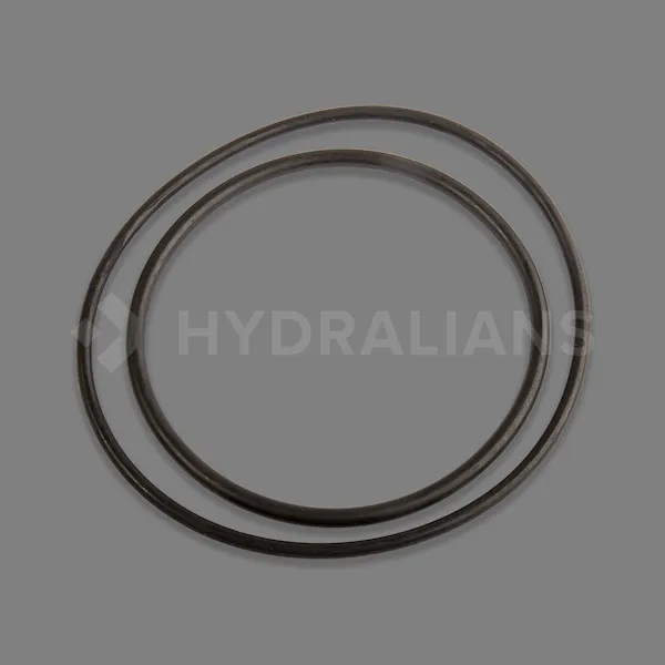 Joint hydraulique boost rite 100m / 150m (lot de 2)