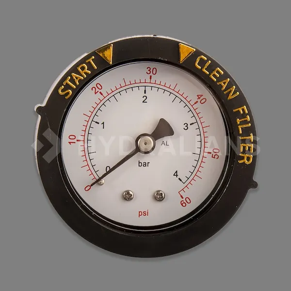 Manomètre pour filtre Triton