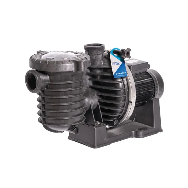Pompe filtration Sta-Rite monophasée - LA STARITE - 0.75kW