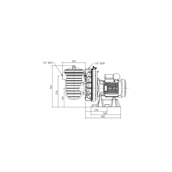 Pompe filtration Sta-Rite monophasée - LA STARITE - 0.75kW